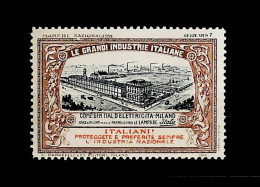1915-Italia (MNH=**) Le Grandi Industrie Italiane Milano Compagnia Generale D'el - Vignetten (Erinnophilie)