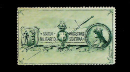 1920-Italia (MNH=**) MScuola Magistrale Militare Di Scherma Roma Erinnofilo - Vignetten (Erinnophilie)