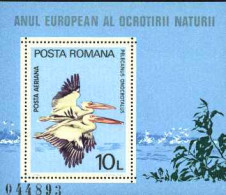 1980-Romania (MNH=**) Foglietto 1v."Protezione Della Natura,pellicani"catalogo E - Other & Unclassified