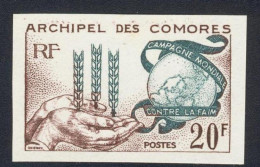 1963-Arcipelago Delle Comore (MNH=**) Serie Un Valore Fr. 25+5 Non Dentellato "c - Comoren (1975-...)