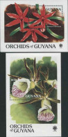 1990-Guyana (MNH=**) Serie Di Due Foglietti Da 1v."orchidee"catalogo Euro 18 - Guiana (1966-...)