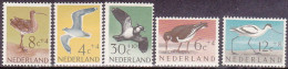 1961-Olanda (MNH=**) S.5v."Uccelli"catalogo Euro 10,5 - Ungebraucht