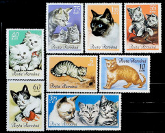 1965-Romania (MNH=**) S.8v."Gatti Domestici"catalogo Euro 9 - Altri & Non Classificati