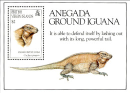 1990-Isole Vergini (MNH=**)foglietto 1v."Protezione Della Natura,iguana" - Iles Vièrges Britanniques