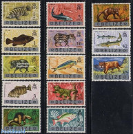 Belize/British Honduras 1973 Definitives, Animals 13v, Mint NH, Nature - Animals (others & Mixed) - Cat Family - Fish .. - Vissen