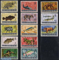 Belize/British Honduras 1973 Definitives, Animals 13v, Mint NH, Nature - Animals (others & Mixed) - Cat Family - Fish .. - Fishes