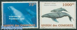 Comoros 2003 Whales & Dolphins 2v, Mint NH, Nature - Sea Mammals - Comores (1975-...)