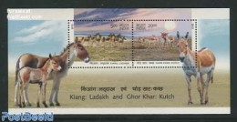 India 2013 Donkeys S/s, Mint NH, Nature - Animals (others & Mixed) - Neufs