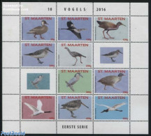 St. Maarten 2016 Birds 10v M/s, Mint NH, Nature - Birds - Sonstige & Ohne Zuordnung