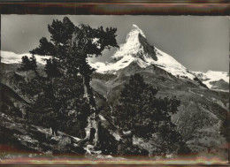 11303185 Zermatt VS Blick Aus Dem Arvenwald Auf Riffelalp Ob Zermatt Und Matterh - Sonstige & Ohne Zuordnung