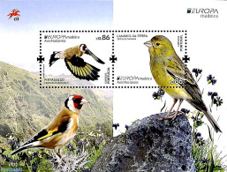 Madeira 2019 Europa, Birds S/s, Mint NH, History - Nature - Europa (cept) - Birds - Madère