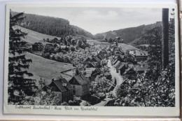 AK Lautenthal Im Harz Blick Ins Bischofstal 1957 Gebraucht #PE760 - Sonstige & Ohne Zuordnung