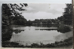 AK Uelzen Waldsee Am Fischerhof 1957 Gebraucht #PE910 - Sonstige & Ohne Zuordnung