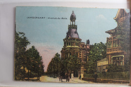 AK Lambersart Avenue Du Bois 1917 Gebraucht #PF577 - Autres & Non Classés