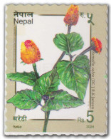 NEPAL 2024 Flower,Flora,Indigenous Plants,Nature,Acmella Calva DC. R.K Jansen, MNH (**) - Népal