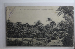 AK Algerien Beni-Qunit - Paysages Figuigiens 1904 Gebraucht #PH548 - Zonder Classificatie