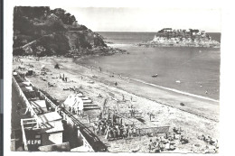 SAINT-QUAY PORTRIEUX - La Plage Et L'île De La Comtesse - N°721 ALFA  éd. - VENTE DIRECTE X - Saint-Quay-Portrieux