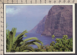 108704GF/ SANTIAGO DEL TEIDE, Acantilado De Los Gigantes - Tenerife