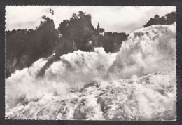 109924/ Chutes Du Rhin, Rheinfall  Vom Känzeli Aus - Other & Unclassified