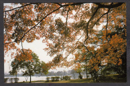 115421/ HANGZHOU, West Lake, The Lake In Late Autumn - China