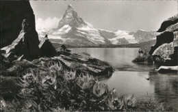 11298592 Zermatt VS Stellisee Matterhorn Zermatt - Other & Unclassified