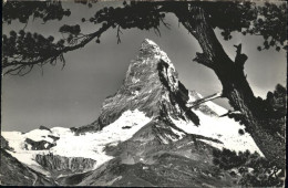 11298574 Zermatt VS Rifelalp Matterhorn Zermatt - Autres & Non Classés