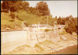 70s ORIGINAL AMATEUR PHOTO FOTO AUTOCARRO RODOVIARIA NACIONAL BUS PORTUGAL AT511 - Cars