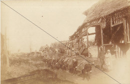 Photo Guerre 14-18 WWI Sénégalais Près De Frise Somme - Guerre, Militaire