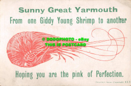 R555271 Sunny Great Yarmouth. From One Giddy Young Shrimp To Another. Hoping You - Monde
