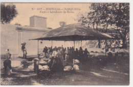 Portugal - Barquinha Fonte Da Moita - Santarem