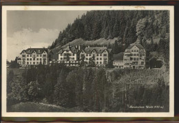 11294828 Wald AR Vorderland Sanatorium Wald  - Sonstige & Ohne Zuordnung