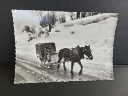 74  - CP -     LA CLUSAZ   " Promenade Traineau à  Cheval "   Circule 1963 -    Net    4 - La Clusaz