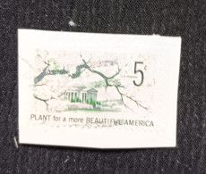 C) 1080. 1966. UNITED STATES. CHERRY TREE IN FRONT OF THE CAPITOL. ACK. USED. - Autres & Non Classés