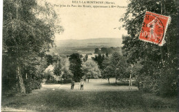 RILLY La MONTAGNE - VUE PRISE Du PARC Des ROZAIS APPARTENANT à Mme POMMERY - CLICHE RARE - - Rilly-la-Montagne