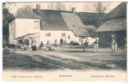 Pk. Calmpthout-Heide - De Wit Hoef  (Geanimeerd) - Kalmthout