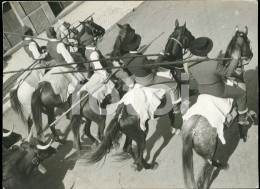 60s ORIGINAL AMATEUR PHOTO FOTO HORSE HORSES CHEVAL CAVALOS CAMPINOS RIBATEJO PORTUGAL AT410 - Lieux