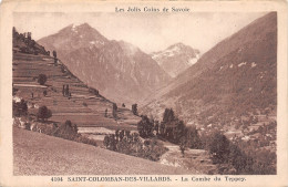 73-SAINT COLOMBAN DE VILLARDS-N°2142-A/0267 - Autres & Non Classés