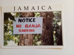 D202876    CPM  AK - JAMAICA  No Ganja Smoking - Jamaïque