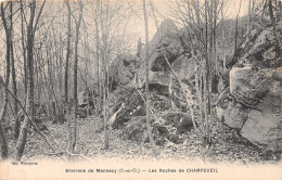 91-LES ROCHES DE CHAMPCUEIL-N°2144-F/0199 - Otros & Sin Clasificación