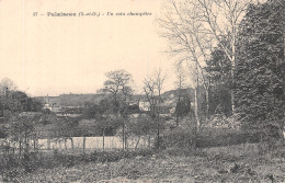 91-PALAISEAU-N°2144-E/0121 - Palaiseau