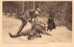 Sanitätshund Hat Einen Verwundeten Vor Dem Erfrieren Gerettet - Guerra 1914-18