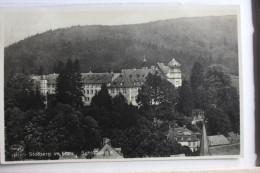AK Stolberg Im Harz Schlosspartie 1931 Gebraucht #PD908 - Other & Unclassified
