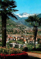 72625724 Bozen Suedtirol Panorama Blick Gegen Rosengarten Dolomiten Palmen Firen - Sonstige & Ohne Zuordnung