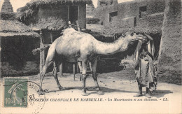 13-MARSEILLE-EXPOSITION COLONIALE-N°2151-D/0077 - Unclassified
