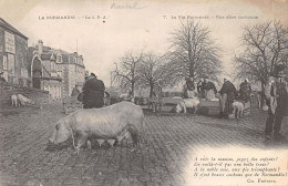 14-SCENE NORMANDE-UNE MERE COCHONNE-N°2151-F/0367 - Sonstige & Ohne Zuordnung