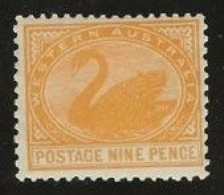 Western Australia     .   SG    .    145       .   *       .     Mint-hinged - Ongebruikt