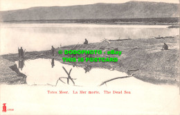 R555592 Totes Meer. La Mer Morte. The Dead Sea - Monde