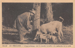 24-SCENE DU PERIGORD-LA RECHERCHE DES TRUFFES-N°2152-D/0195 - Autres & Non Classés