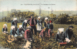 29-PLOUGASTEL DAOULAS-LE CUEILLETTE DES FRAISES-N°2153-A/0193 - Plougastel-Daoulas