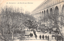 34-MONTPELLIER-N°2153-E/0083 - Montpellier